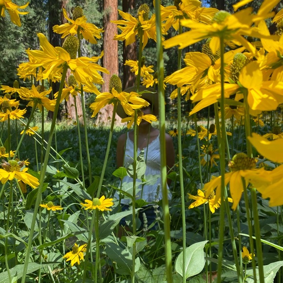 Meet your Posher, Vanessa - Picture 1 of 1